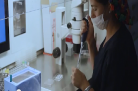 Ces Françaises qui congèlent leurs ovules à l’étranger